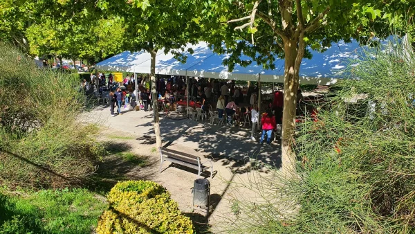 mercadillo 2