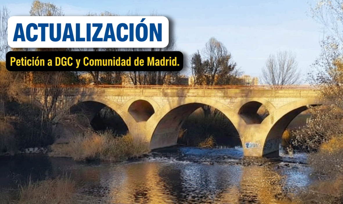 puente2
