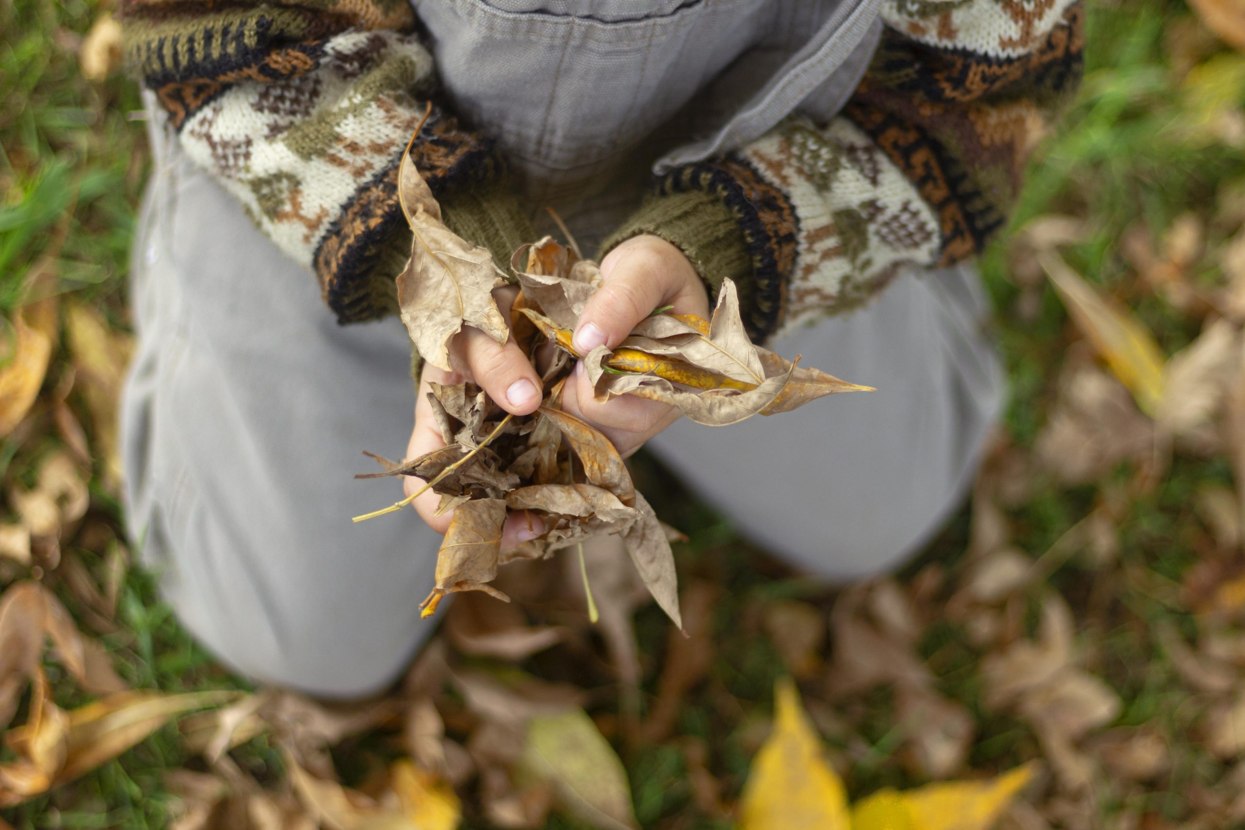 cerrar-manos-sosteniendo-hojas