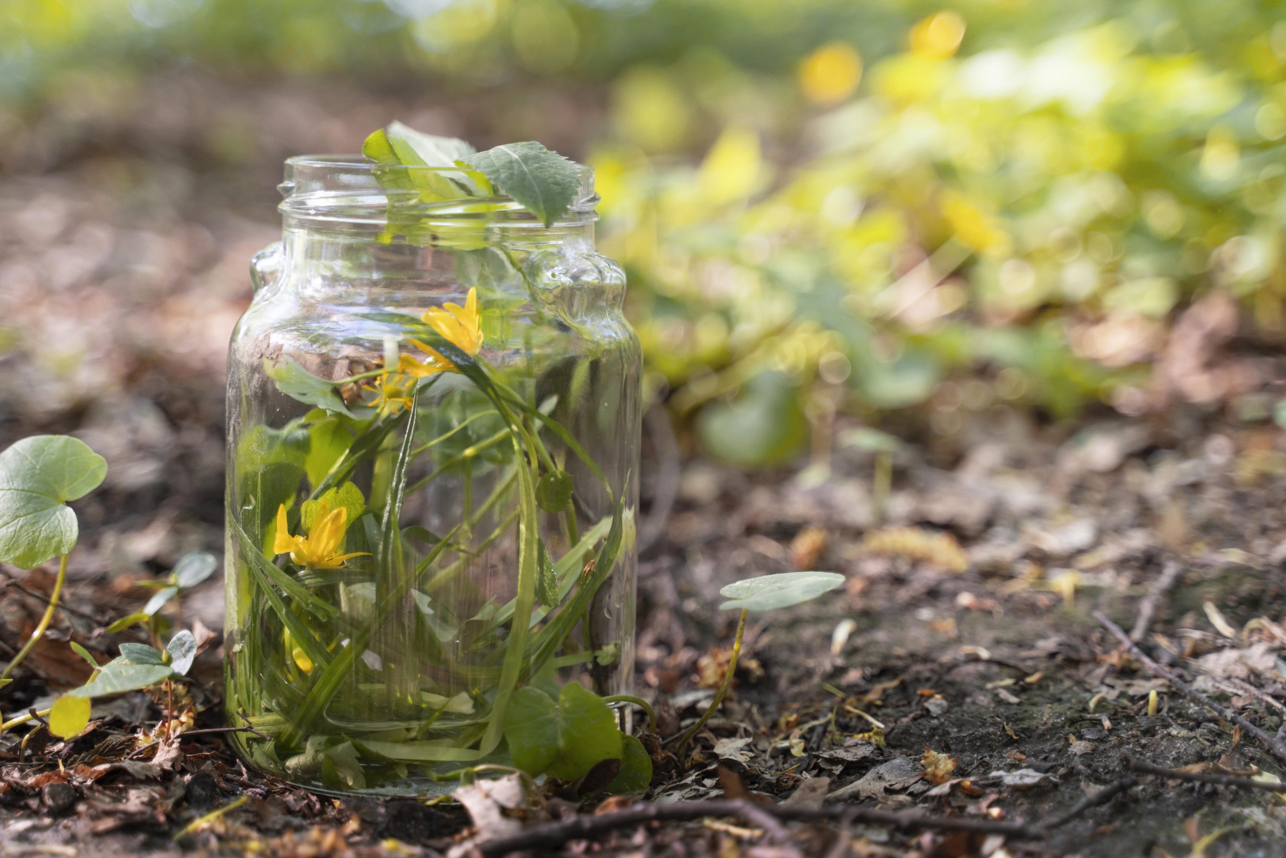 yellow-flower-glass-jar yellow-flower-glass-jar