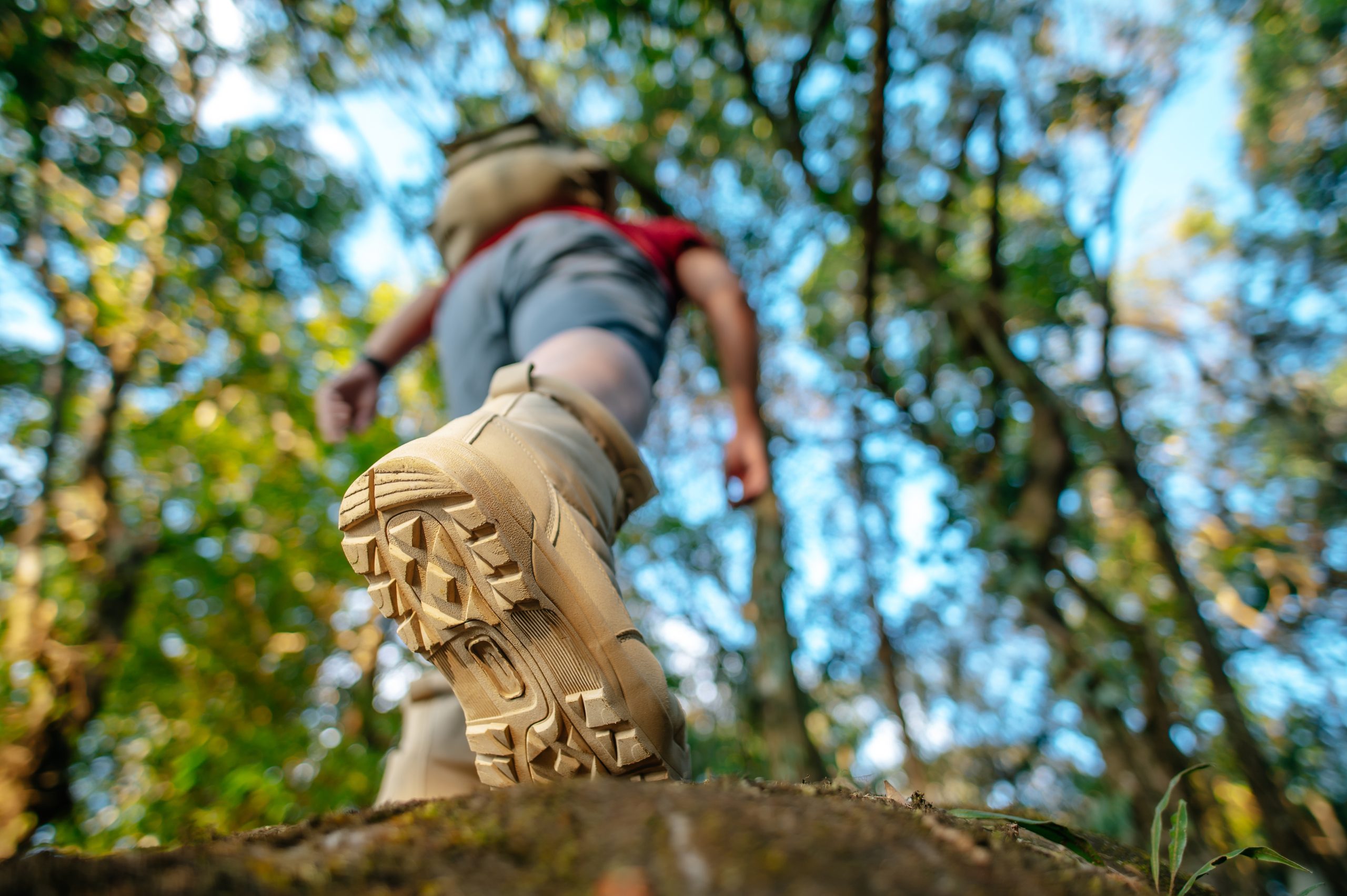 Close up, rear view trekking shoes of Hiker walking on the rockห in the forest Trail with sunlight, copy space