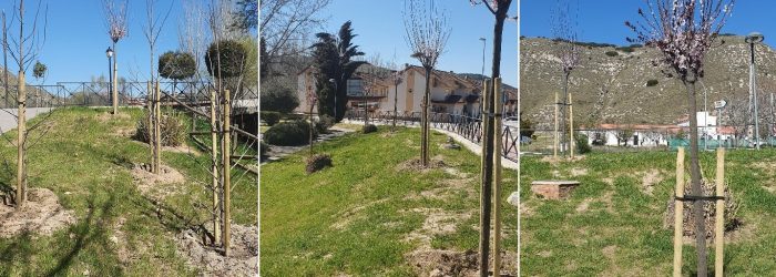 162191175_2551516858484288_1214335644975764009_o