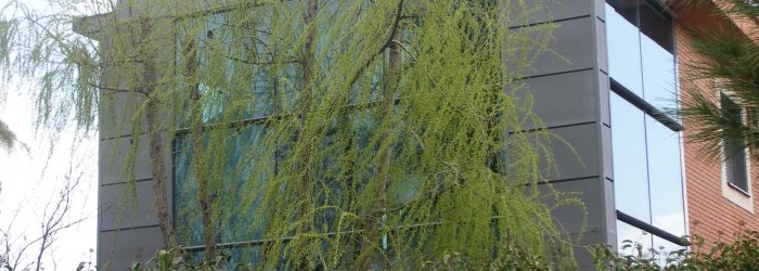2010_03240008