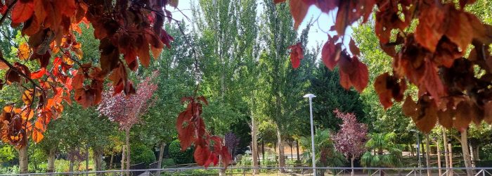 Parque Arroyo del Tesoro