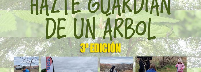 3ª PLANTACION destacada
