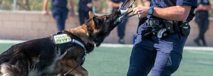 76187152_2418717541704319_6869268464410820608_n 76187152_2418717541704319_6869268464410820608_n