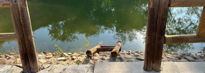 9e802ac5-feb0-43f6-8e36-bba41850dcf3