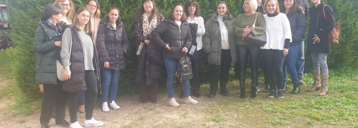 Formación 1
