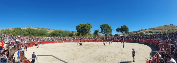 plaza toros suelta reses