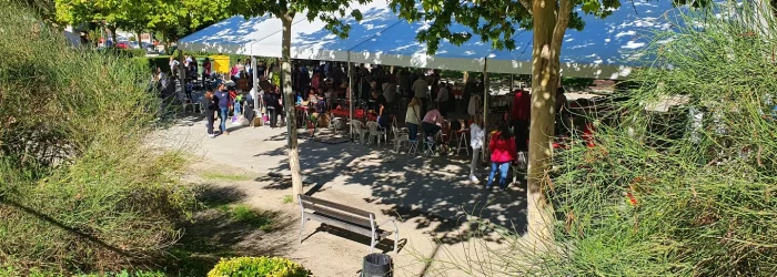 mercadillo 2