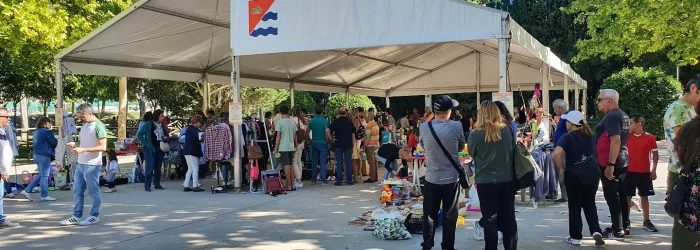 mercadillo 5