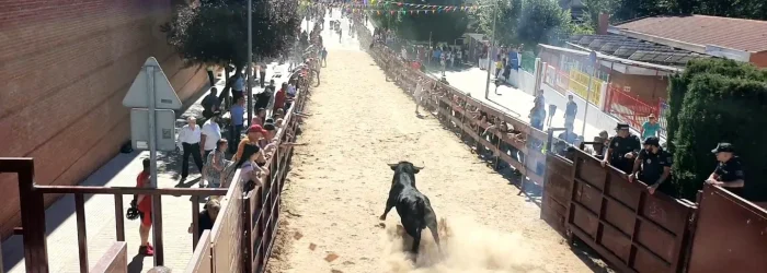 encierro reses