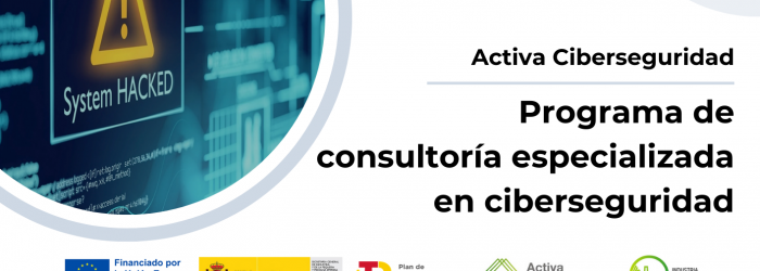 Infografía Activa Ciberseguridad