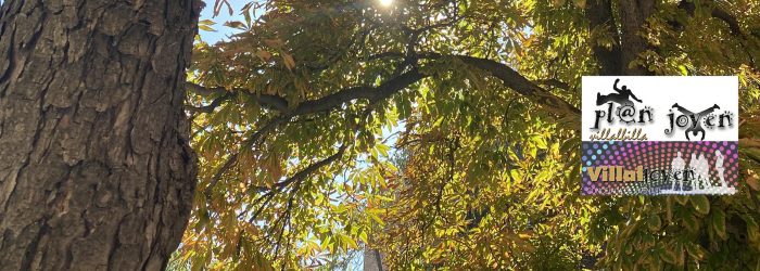 OTOÑO PLAN JOVEN