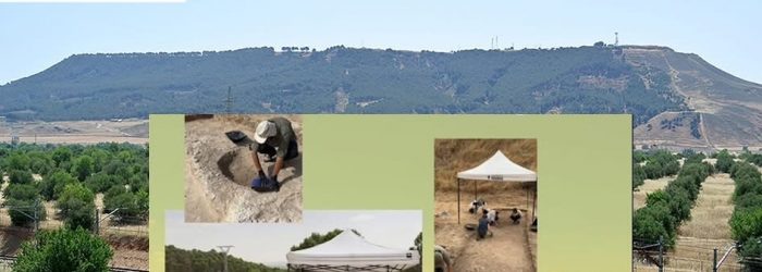 V CAMPAÑA EXCAVACIONES