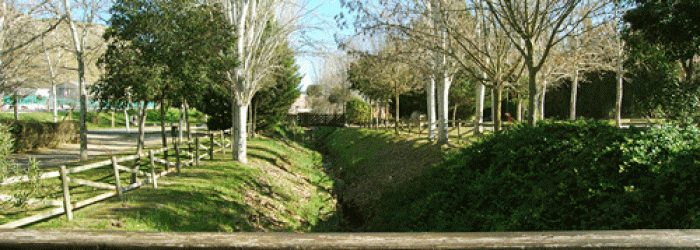 aPARQUE-ARROYO-DEL-TESORO