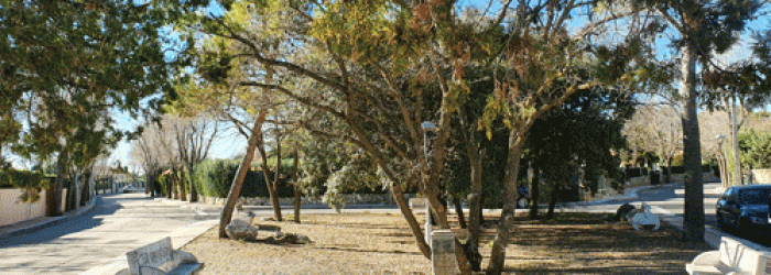 aPARQUE-AVENIDA-DEL-ROBLEDAL