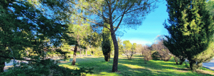 aPASEO-AVENIDA-MADRID