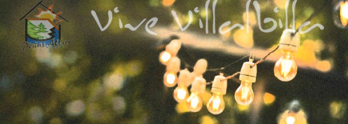 outdoor party string lights hanging in backyard on green bokeh background with copy space