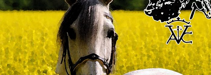 caballo