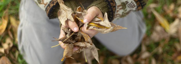 cerrar-manos-sosteniendo-hojas