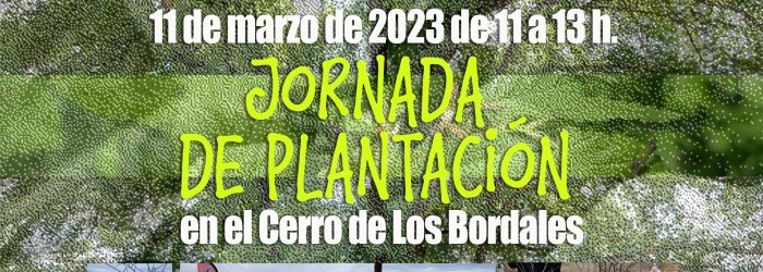 destacada PLANTACION los bordales