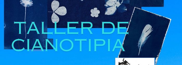 CARTELES - 11