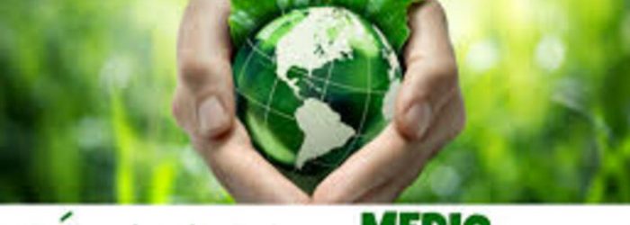 destacada medio ambiente