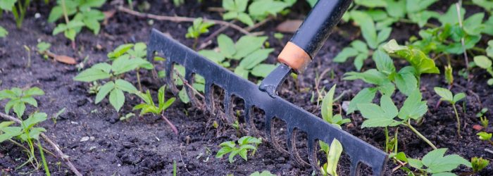 gardening-2305343_1280