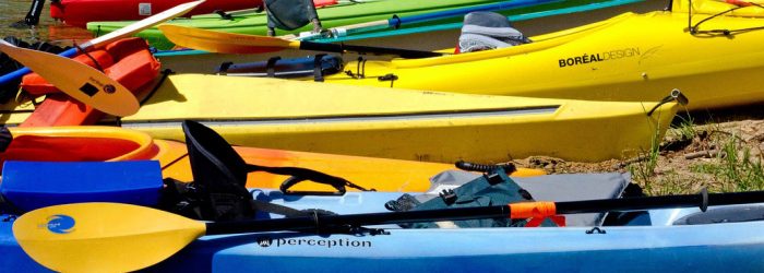 kayaks-4819442_1280
