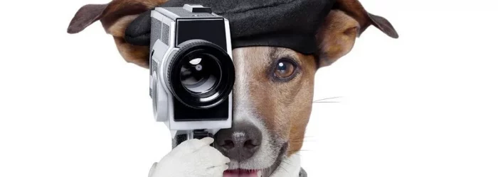 mascotas-audiovisuales