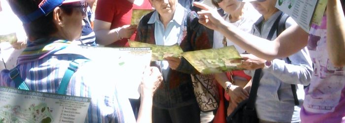 mayores activos 2