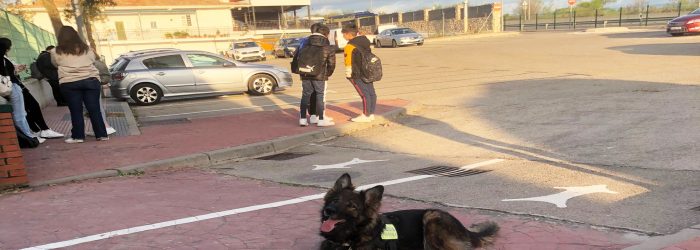 portada unidad canina