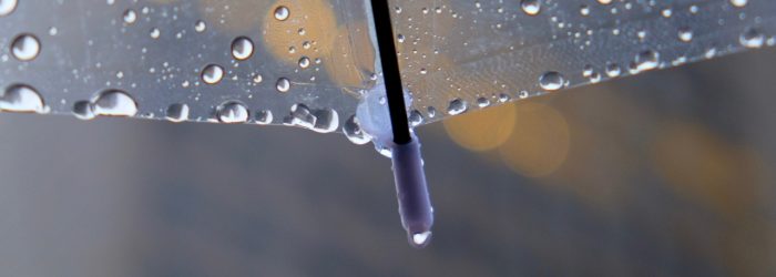 rain-5137523_1280 (1)
