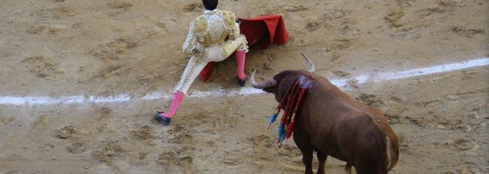 torero-3276662_1280