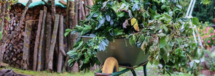 wheelbarrows-4518854_1280